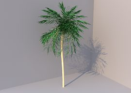 Palmtree