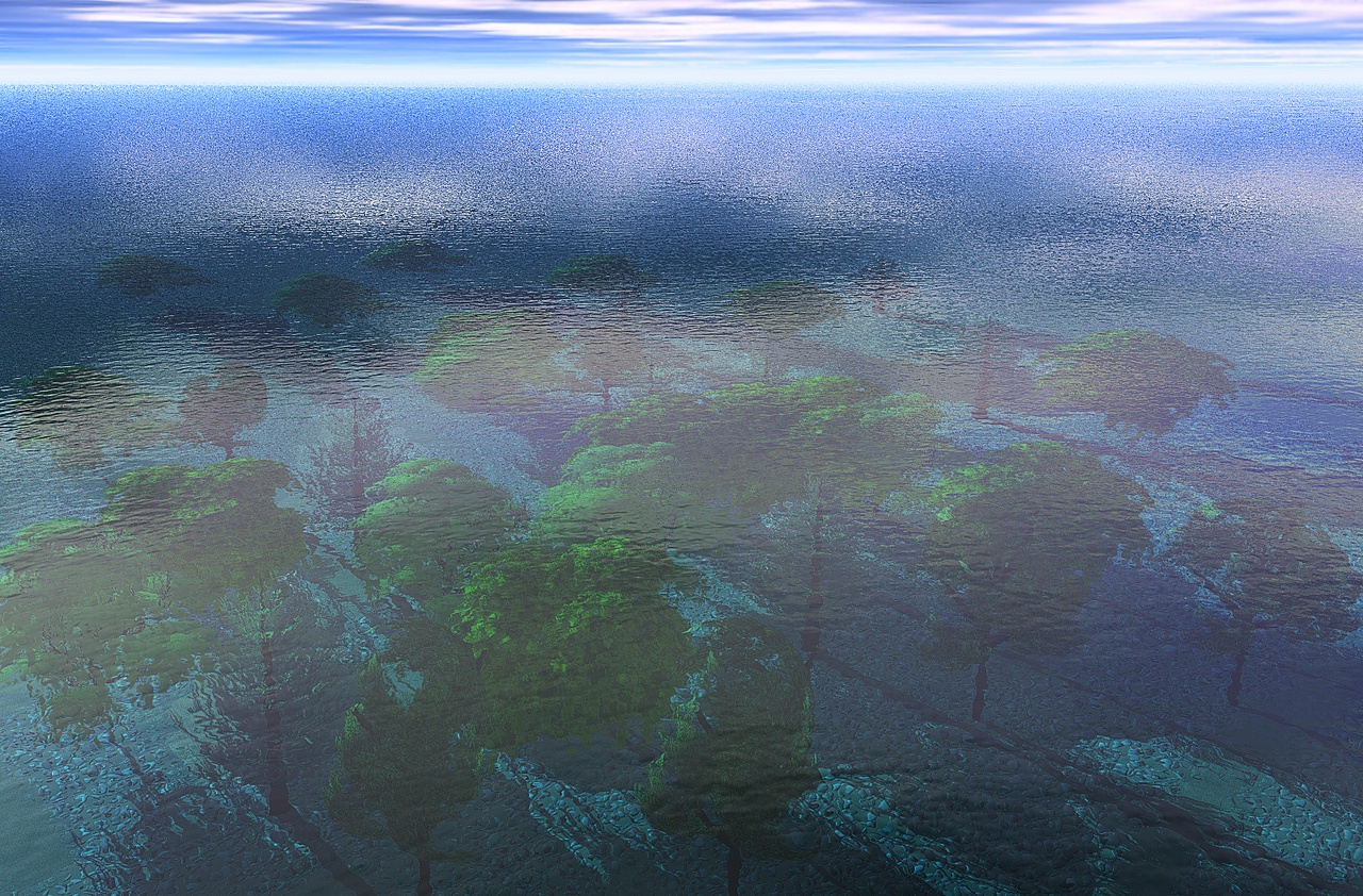trees underwater