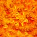 hell fire