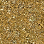 dirt
