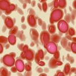 cells