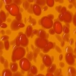 cells