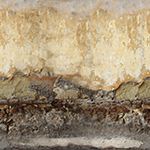 wall decayed