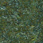 wall moss