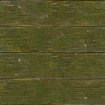 planks moss
